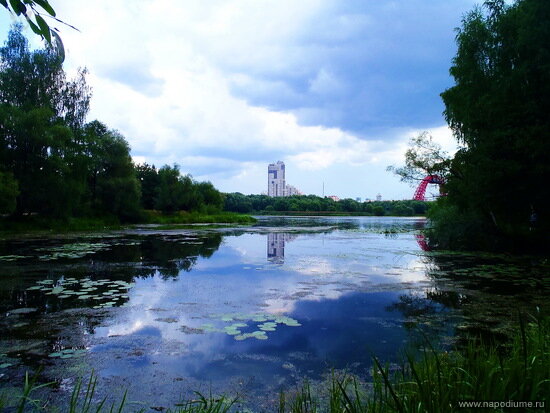 Фото Вячеслав Зайцев