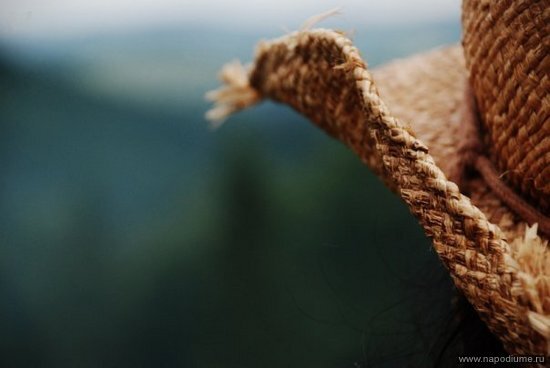 Фото Iva Basara