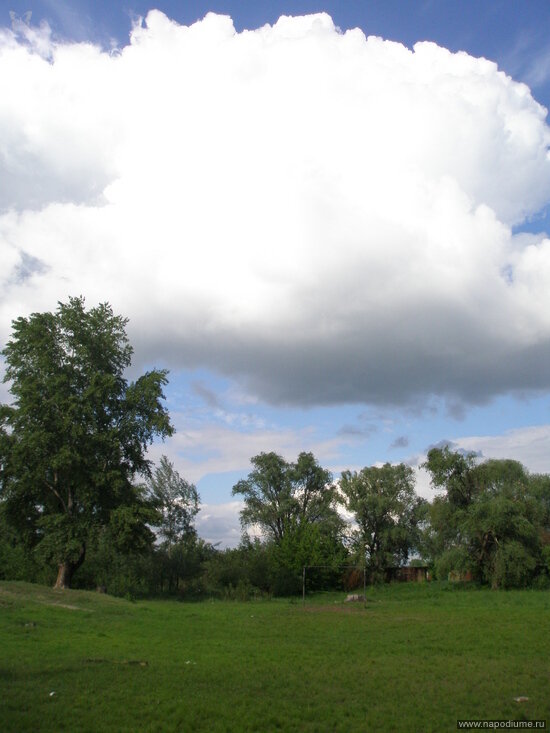 Фото Юлия Liya