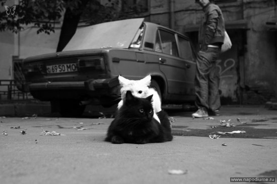 Фото Olga Timkina