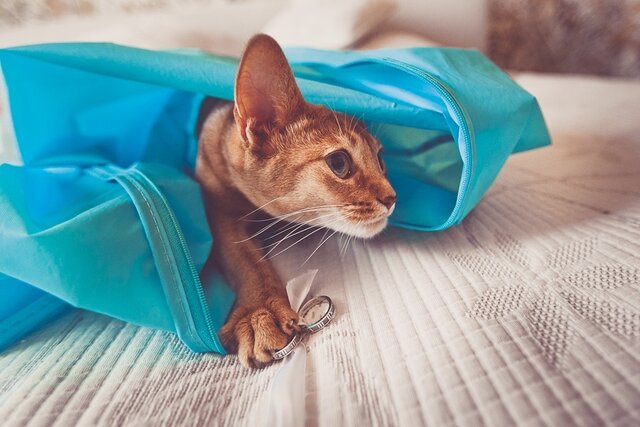 Фото Alexey Malyshev