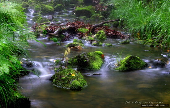 Фото Nikolay BAryshev