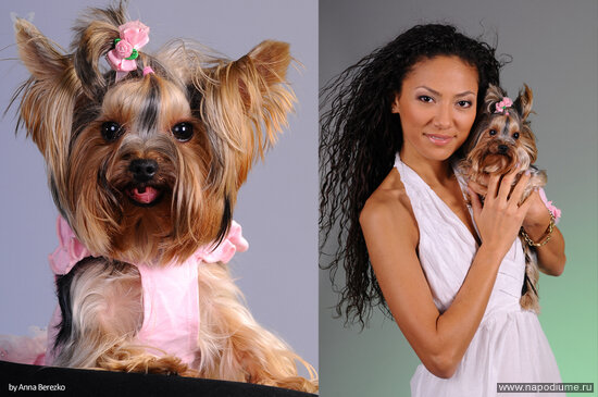 Фото Anna Berezko