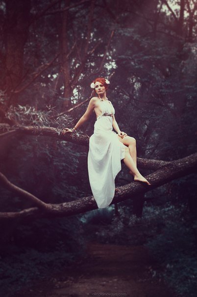 Фото himera