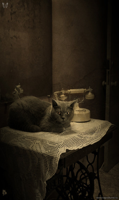 Фото Юлия Хохрякова
