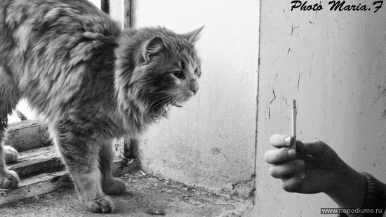Фото Maria Ferle