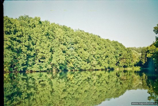 Фото Анастасия Ботезат