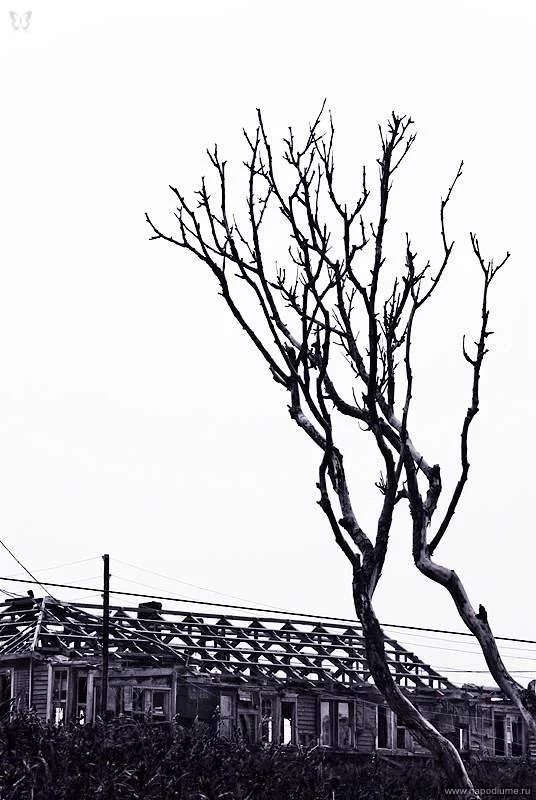 Vaceslav Ivanov's photo