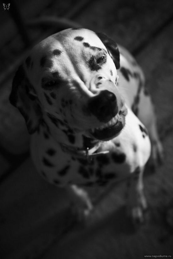 Фото Lexx Lexx