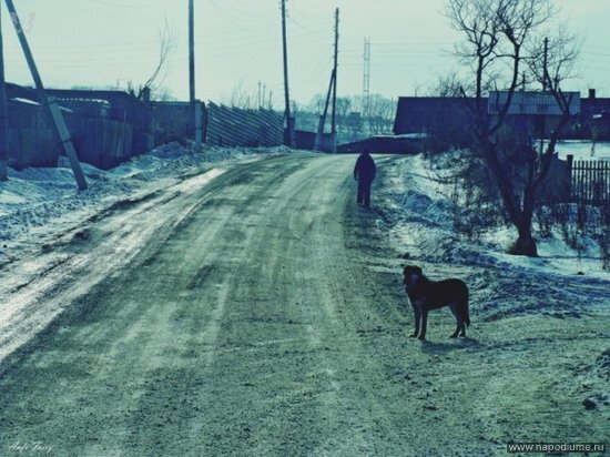Фото Алексис Олейникова