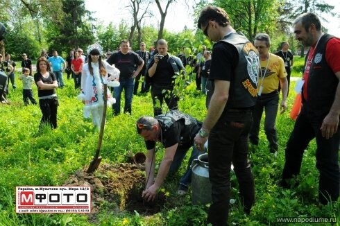 Фото Сергей Подоляко