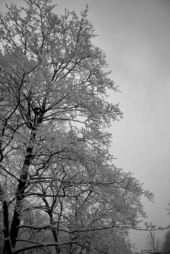 Фото Daria Aetova
