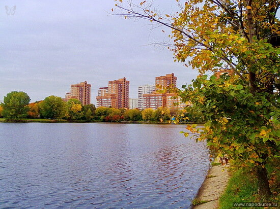 Фото Вячеслав Зайцев