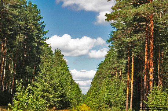 Фото Andrew Solovev