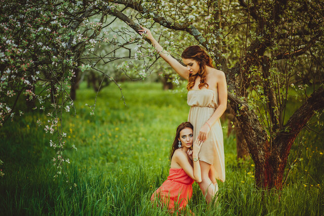 People in nature, Nature, Natural environment, Natural landscape, Tree, Forest, Spring, Romance