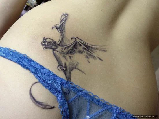 photo #1725524