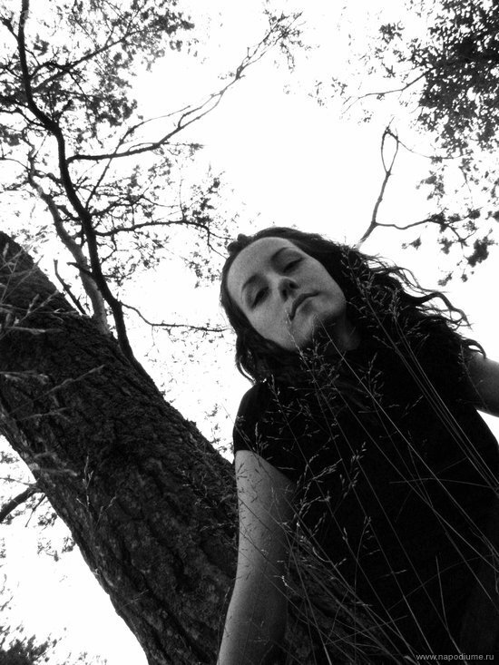Black White,  Nature,  Brunete