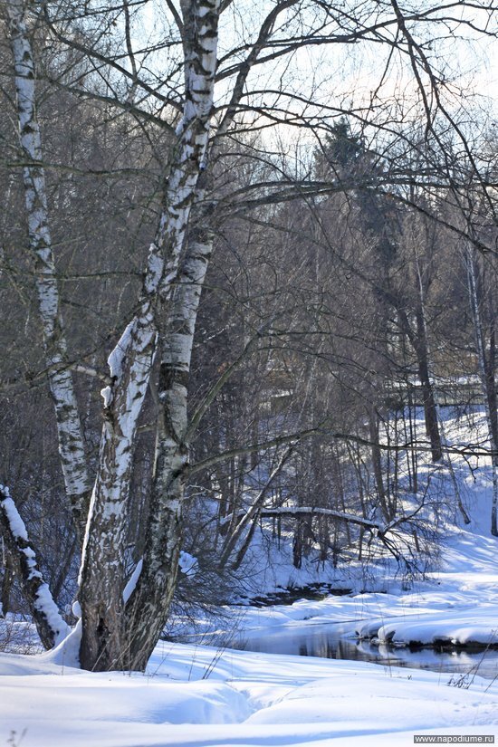 Фото АЛЕНА Замятина