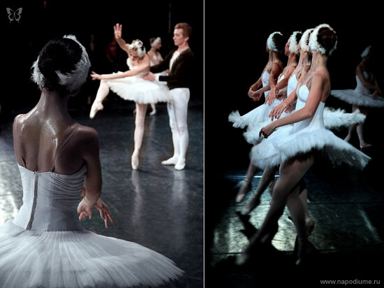 Фото Misha smisha Shipilov