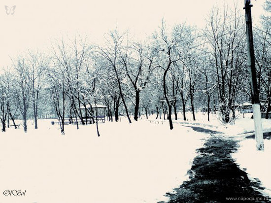 Фото Алексис Олейникова