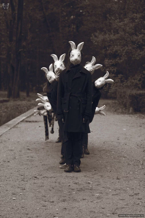 Alena Belakova's photo