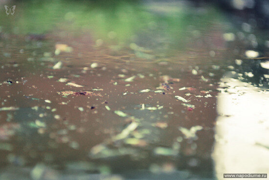 Фото Ri Bulatova