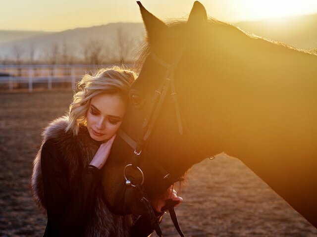 Horse, Beauty, Mane, Sunlight, Landscape, Mustang horse, Smile, Stallion