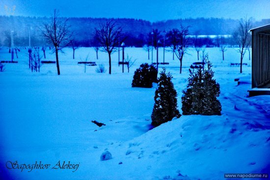 Фото Aleksey SapozhkoFF