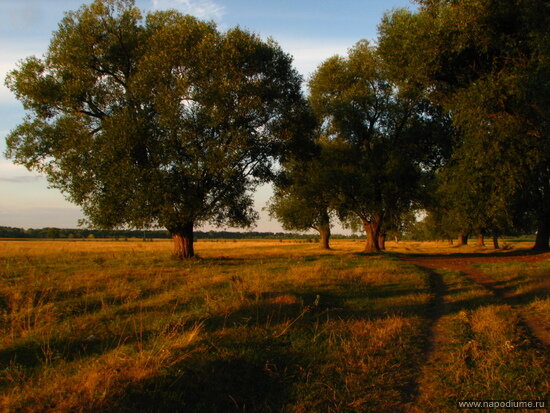 Фото Іра Давидюк