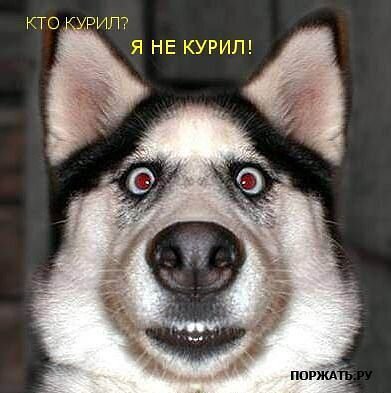 Фото николай BE_BE любимов