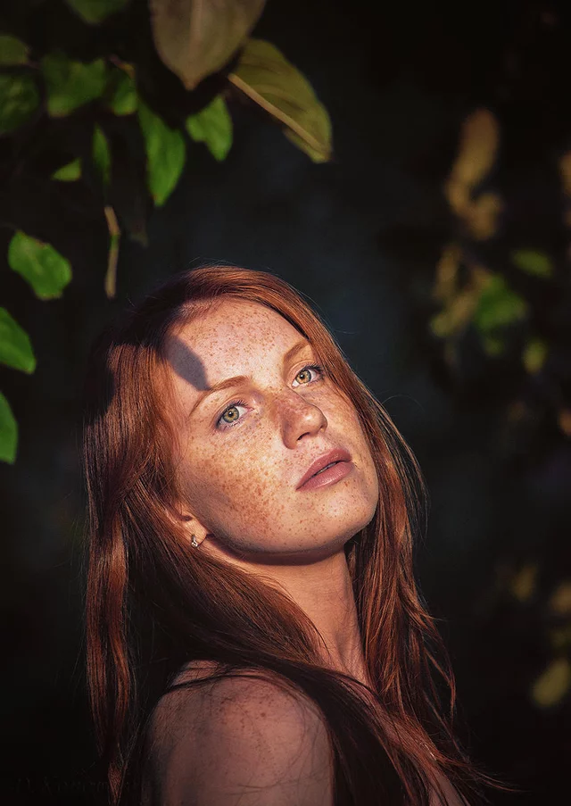 Konovalov Konovalov's photo