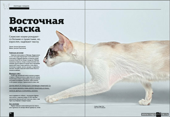 Журнал "Pets" Май 2009