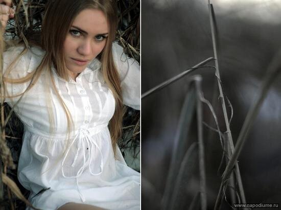 Фото Muza Dalnoboy