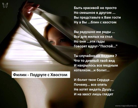 Фото Филин Одинокий