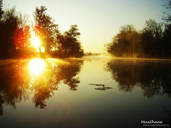 Фото Максим Крутов