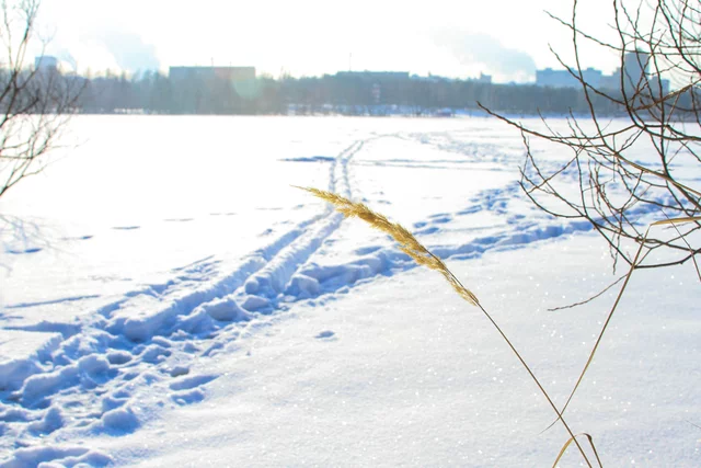 Sergey Reznikov's photo