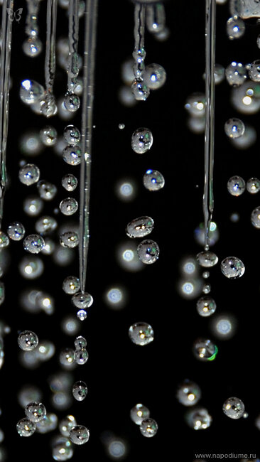 Фото David Seel