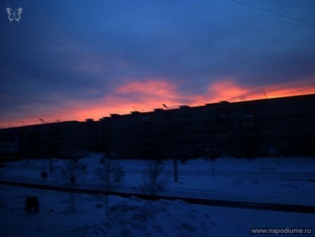 Фото Алексис Олейникова