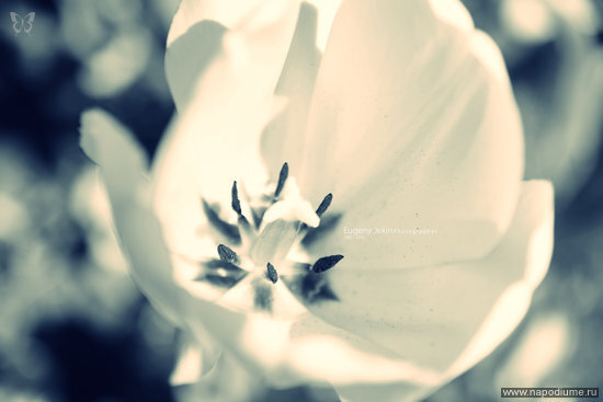 Фото Eugeny Jekin