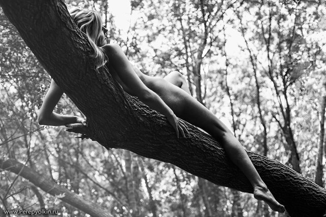 Фото Cyr Perelli