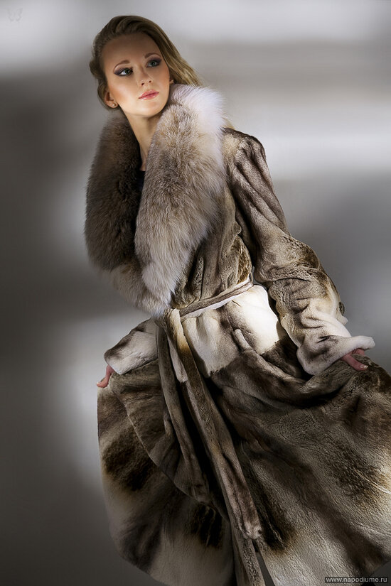 Fashion