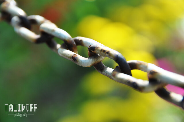 Фото Rustam R.Talipoff Talipoff