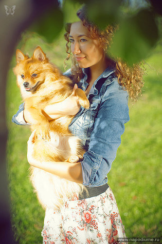 Fashion