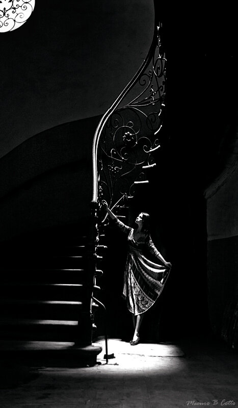 Фото Mecuro B Cotto