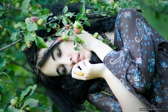 Фото Iva Basara