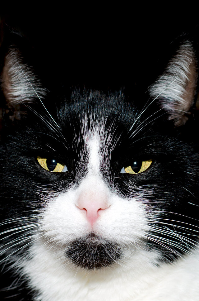 Фото Андрей Casey Махотин
