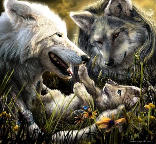 Natasa Trepalova's photo