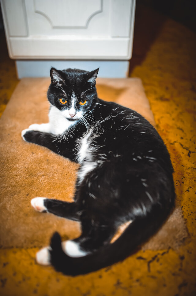 Фото Андрей Casey Махотин