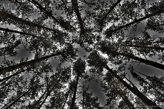 Фото Andrew Solovev