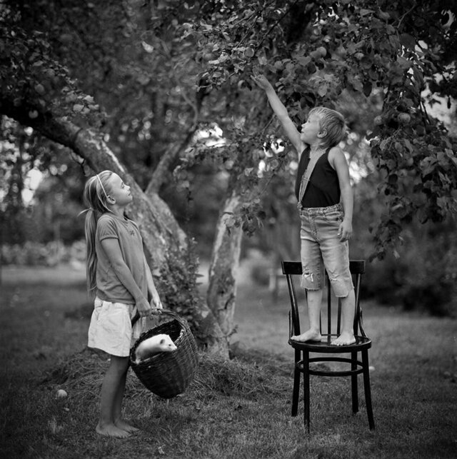 Фото Андрей Мелехин